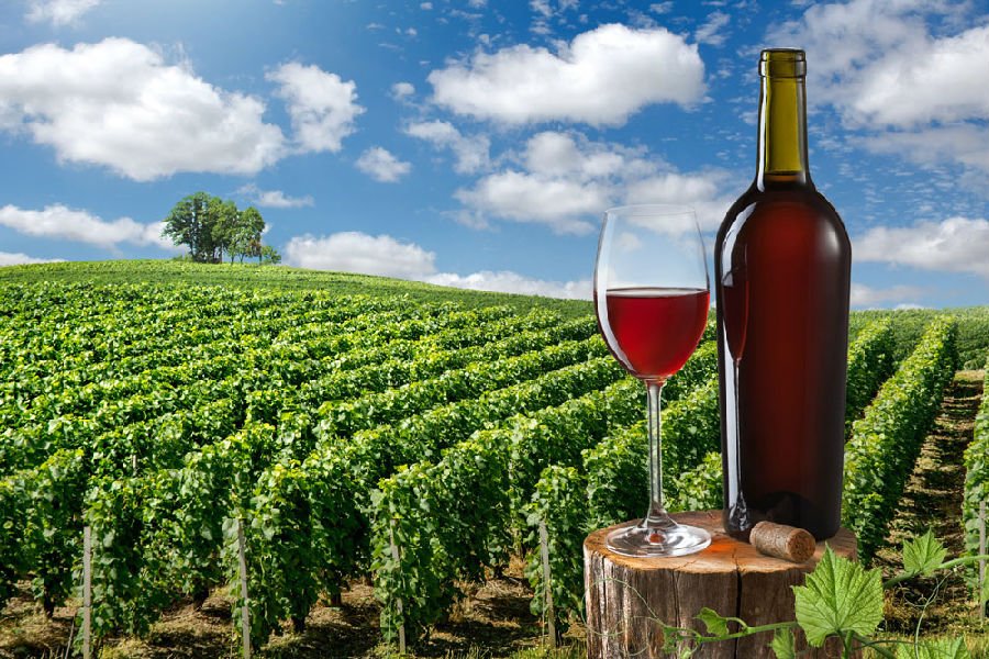 气候搅局 2017年全球葡萄酒产量或锐减8%